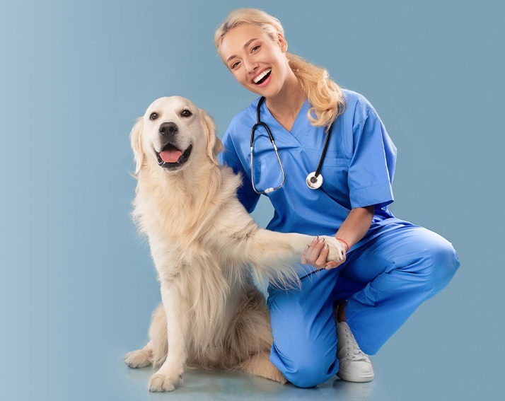 Veterinary