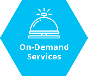 On-Demand Medical Services